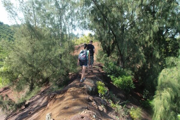Koloa Gulchの山頂